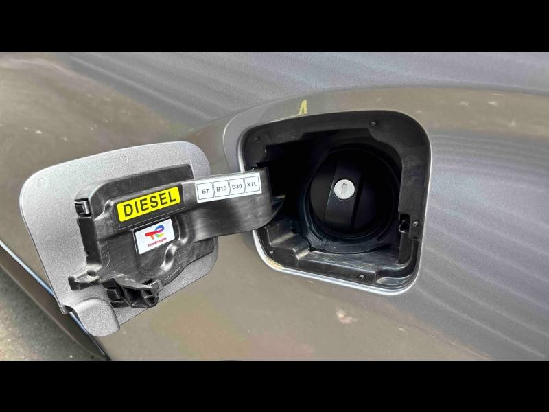 Used PEUGEOT Expert Fg M 2.0 BlueHDi 180ch S&S EAT8 2026 Gris Acier métal € 44420 in Briey