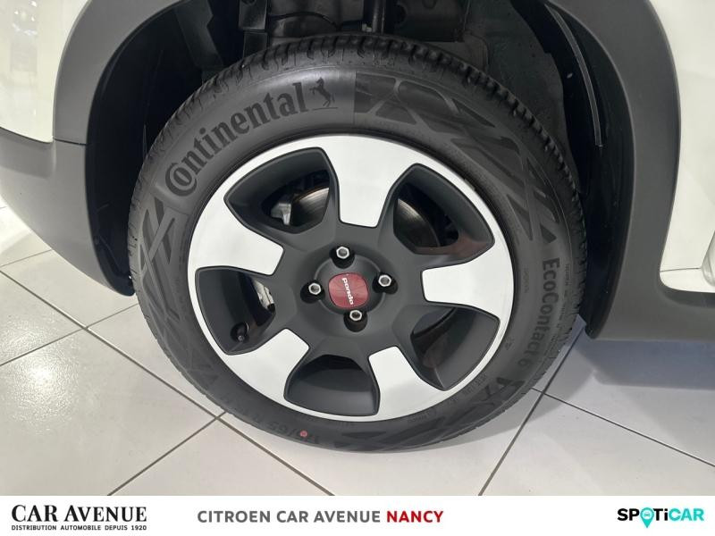 Used FIAT Panda 1.0 70ch BSG S&S (RED) 2023 Blanc € 13490 in Nancy