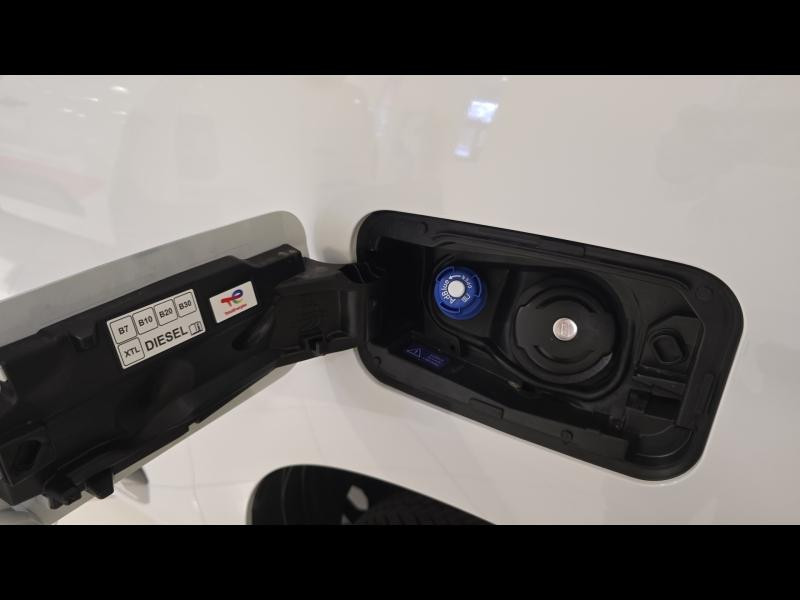 Occasion CITROEN Berlingo Van M 650kg BlueHDi 130ch S&S EAT8 Pack Premium Connect DANGEL 4*4 2025 Blanc Icy 38000 € à Nancy