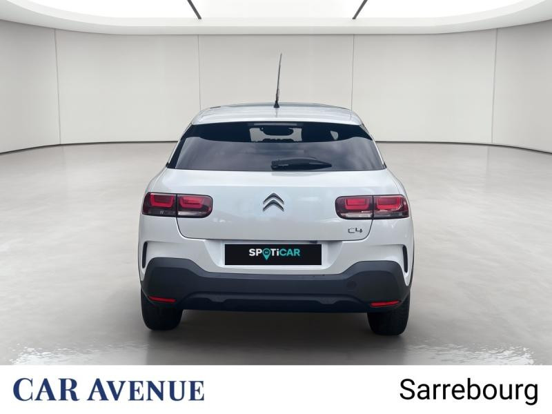 Used CITROEN C4 Cactus BlueHDi 100 Shine 2019 Blanc Perle Nacré (N) € 11200 in Sarrebourg