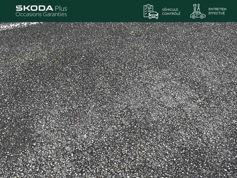 Occasion SKODA Octavia Combi 2.0 TDI 200 RS 4x4 DSG / GPS / Caméra / Kessy / Pack Electrique RS / Sièges Chauffants 2023 Blanc Cristal spéciale 31989 € à Sarrebourg