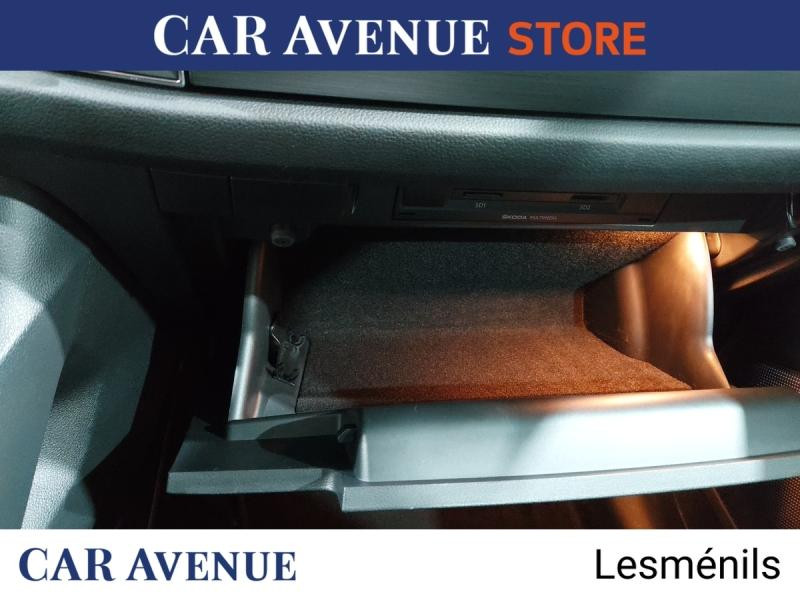 Occasion SKODA Kodiaq 2.0 TDI 150 SCR Business DSG Euro6d-T 7 places 2019 Blanc 21990 € à Lesménils