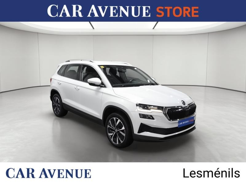Occasion SKODA Karoq 2.0 TDI 116ch SCR Style DSG7 2023 Bleu 21790 € à Lesménils