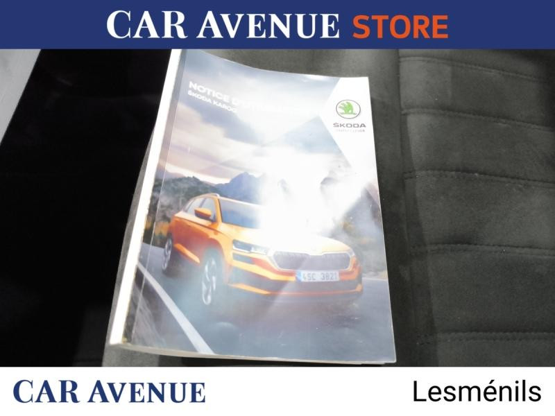 Occasion SKODA Karoq 2.0 TDI 116ch SCR Style DSG7 2023 Bleu 21790 € à Lesménils