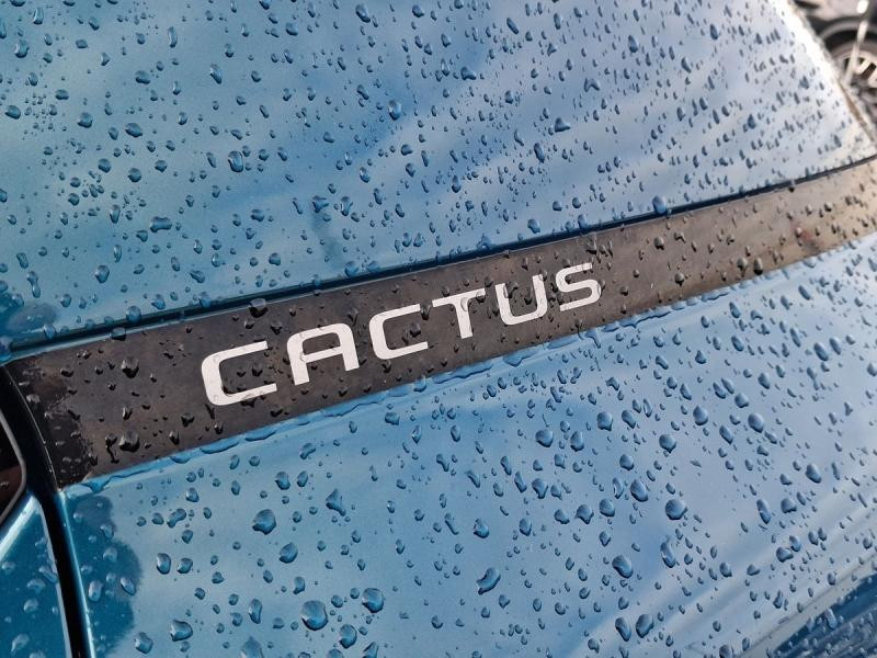 Used CITROEN C4 Cactus PureTech 130ch S&S Shine Business EAT6 E6.d 2019 Bleu € 10990 in Leudelange