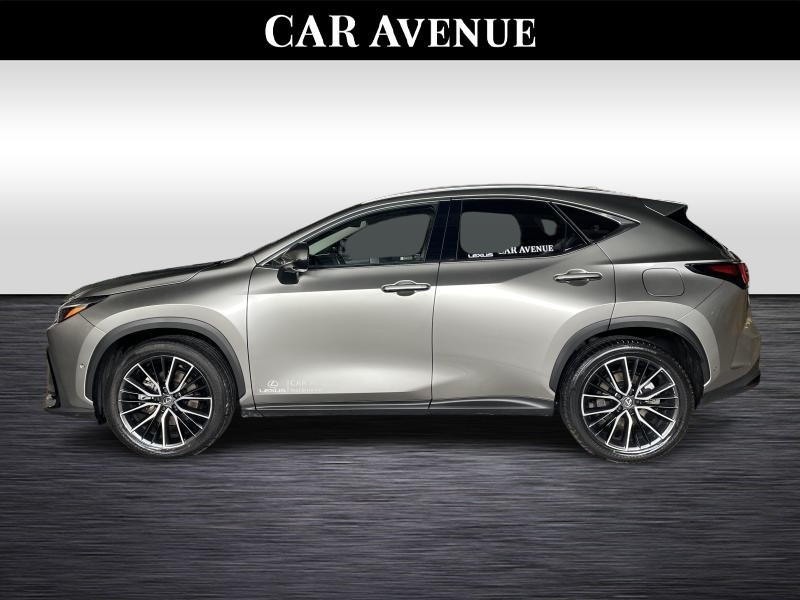 Occasion LEXUS NX 350h Hybrid Privilege Line  CHAMPAGNE 67190 € à Waterloo