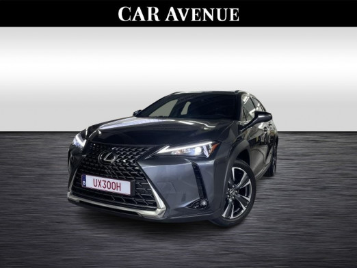 Occasion LEXUS UX 300h Executive Line  GREY 47 800 € à Waterloo