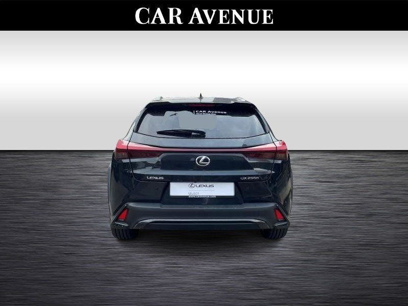 Used LEXUS UX 2.0L HEV F SPORT Design 2023 BLACK € 39090 in Wavre