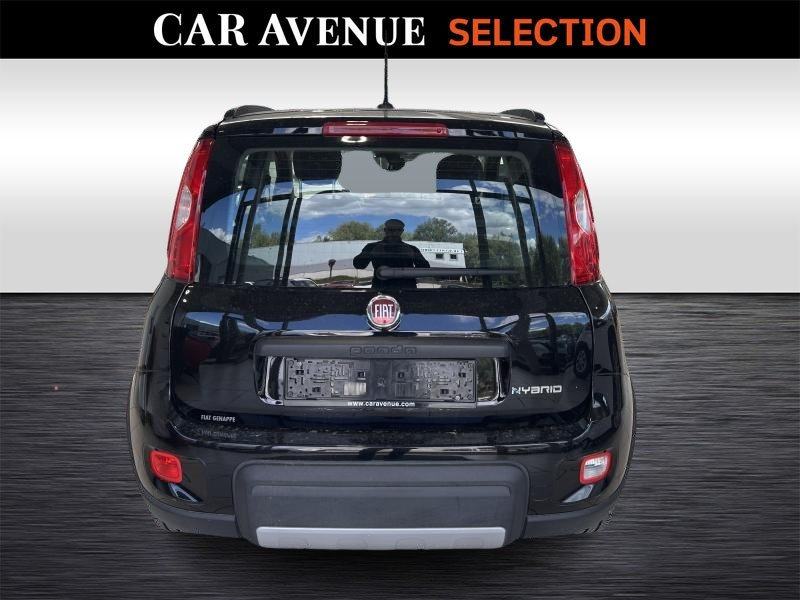 Used FIAT Panda 1.0 HYBRIDE City Life 2022 BLACK € 11190 in Wavre