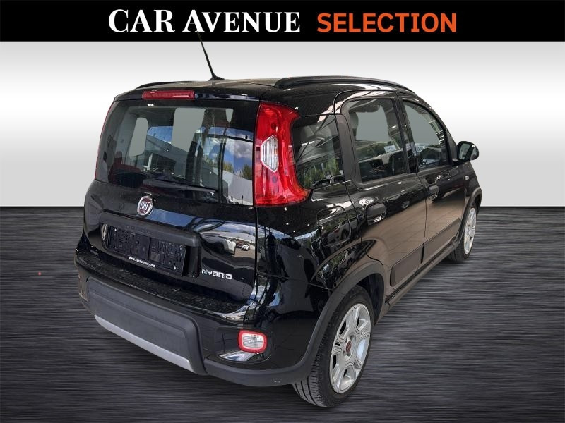 Used FIAT Panda 1.0 HYBRIDE City Life 2022 BLACK € 11190 in Wavre