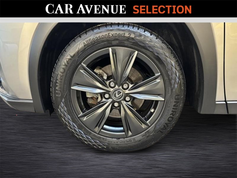 Occasion LEXUS UX 250h Business Line + Leather 2022 GREY 26990 € à Seraing