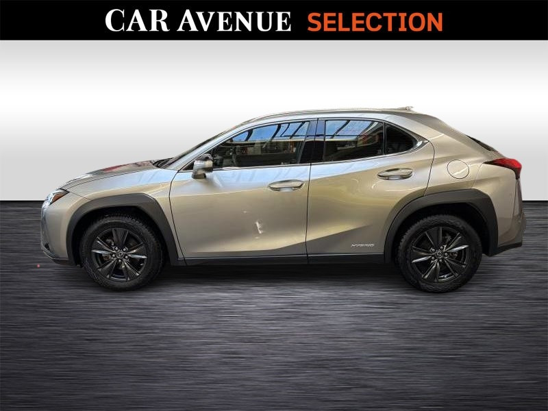 Occasion LEXUS UX 250h Business Line + Leather 2022 GREY 26990 € à Seraing