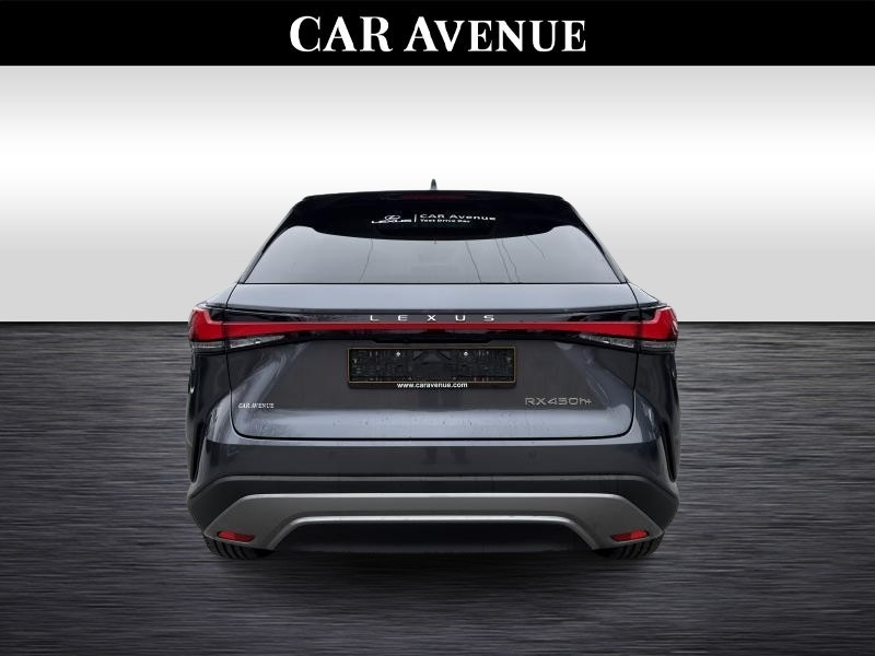 Used LEXUS RX Privilege line  GREY € 84850 in Waterloo