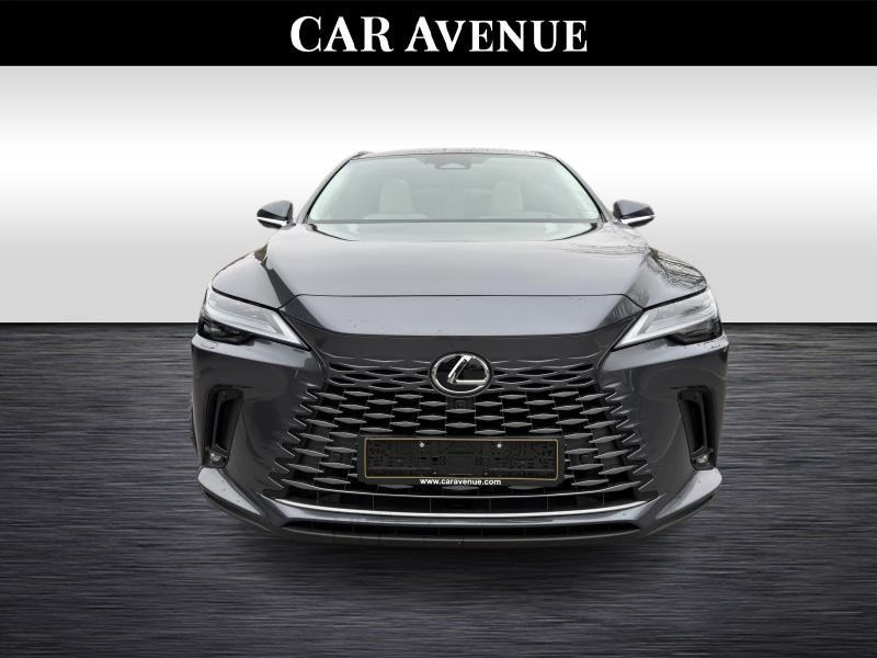 Used LEXUS RX Privilege line  GREY € 84850 in Waterloo