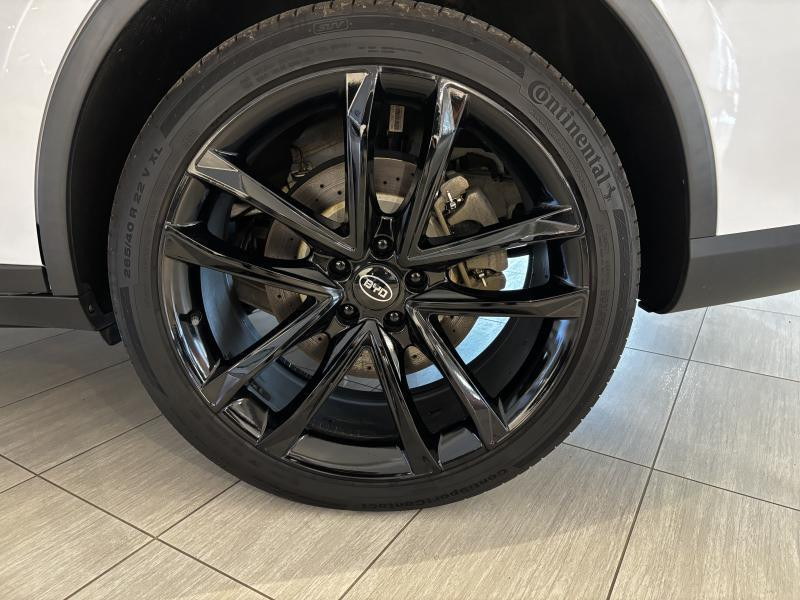 Used BYD Tang . TANG 2022 WHITE € 44990 in Seraing