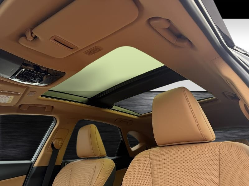 Occasion LEXUS NX Privilege line  BLACK 69838 € à Waterloo