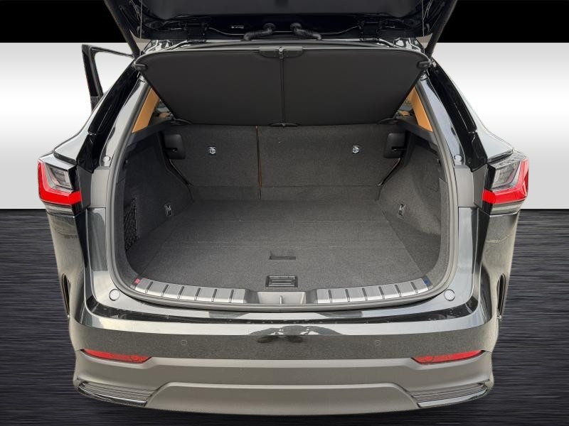 Occasion LEXUS NX Privilege line  BLACK 69838 € à Waterloo