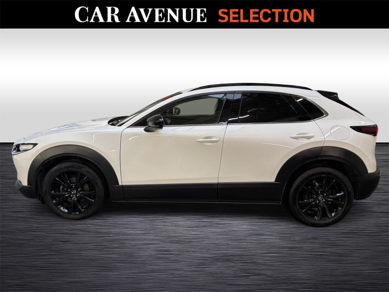 Used MAZDA CX-30 2.0 Homura 2023 WHITE € 19990 in Seraing