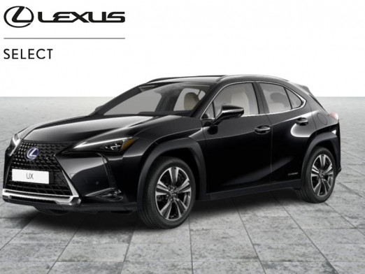 Occasion LEXUS RX 2.0 Hybride Luxury 2021 GREY 47 900 € à Bertrange