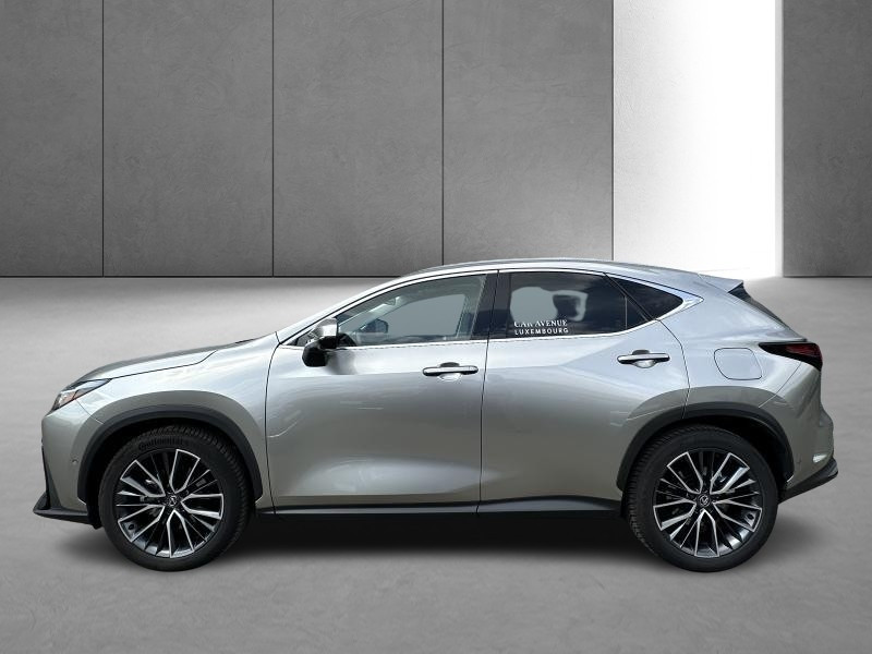 Occasion LEXUS NX 350h 2.5 Hybrid Privilege Line 2024 GREY 64490 € à Bertrange