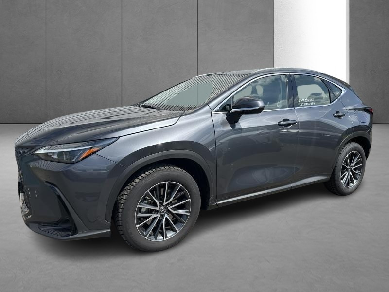 Used LEXUS NX 350h 2.5 Hybride Business Line 2023 GREY € 50490 in Bertrange