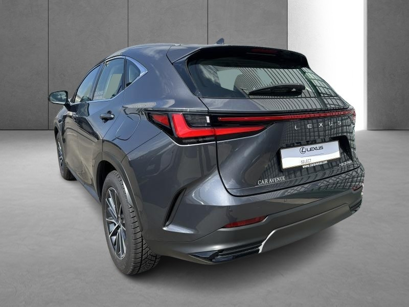 Used LEXUS NX 350h 2.5 Hybride Business Line 2023 GREY € 50490 in Bertrange