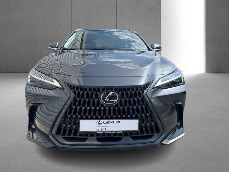 Occasion LEXUS NX 350h 2.5 Hybride Business Line 2023 GREY 50490 € à Bertrange