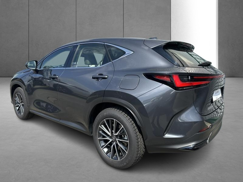 Used LEXUS NX 350h 2.5 Hybride Business Line 2023 GREY € 50490 in Bertrange