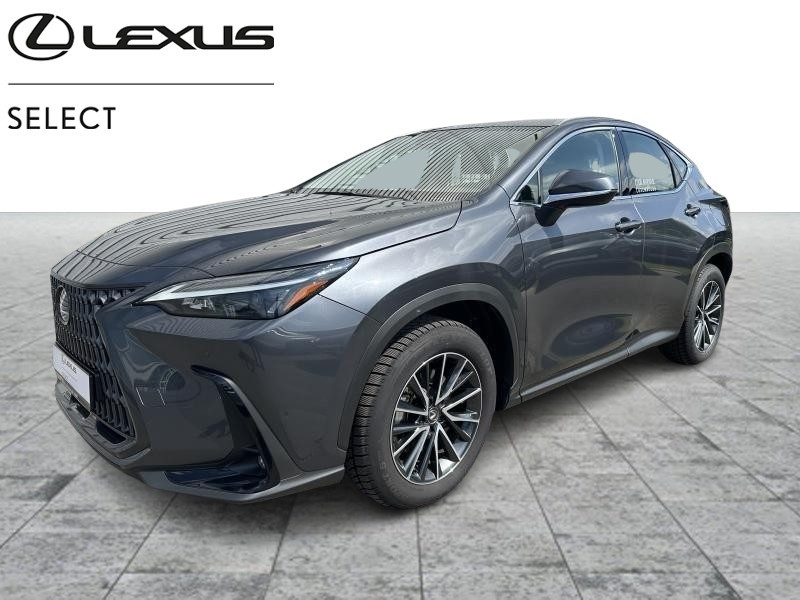 Used LEXUS NX 350h 2.5 Hybride Business Line 2023 GREY € 50490 in Bertrange