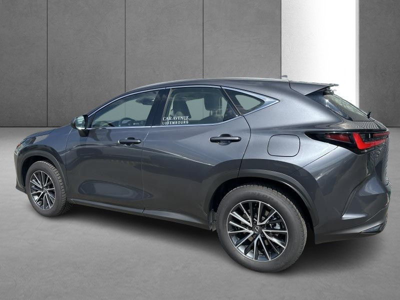 Used LEXUS NX 350h 2.5 Hybride Business Line 2023 GREY € 50490 in Bertrange