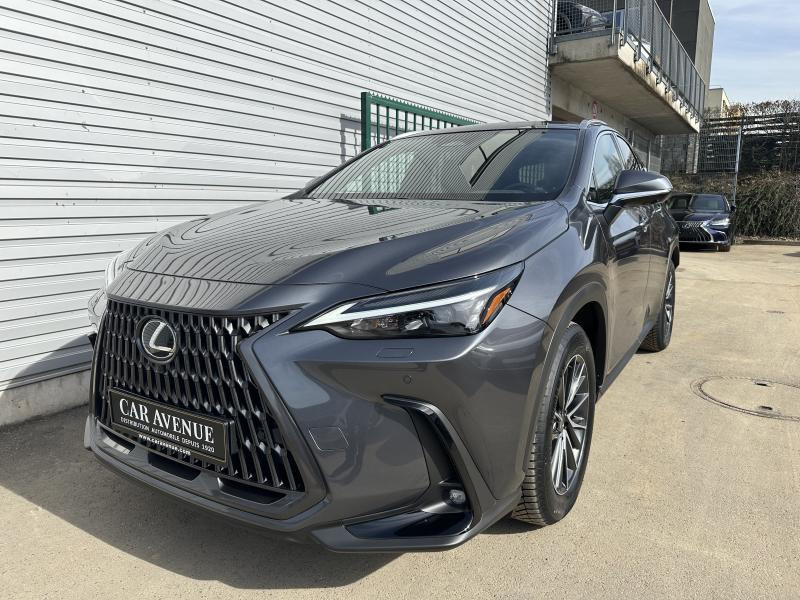 Used LEXUS NX 350h Hybrid Executive Line 2024 GREY € 53990 in Bertrange