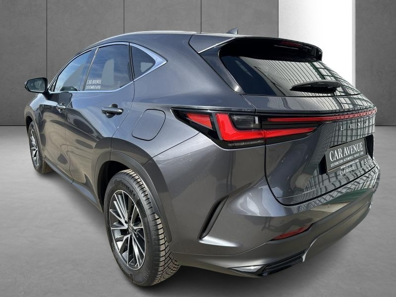 Used LEXUS NX 350h Hybrid Executive Line 2024 GREY € 53990 in Bertrange