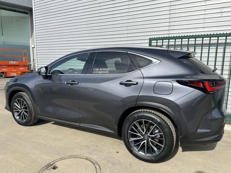 Used LEXUS NX 350h Hybrid Executive Line 2024 GREY € 53990 in Bertrange