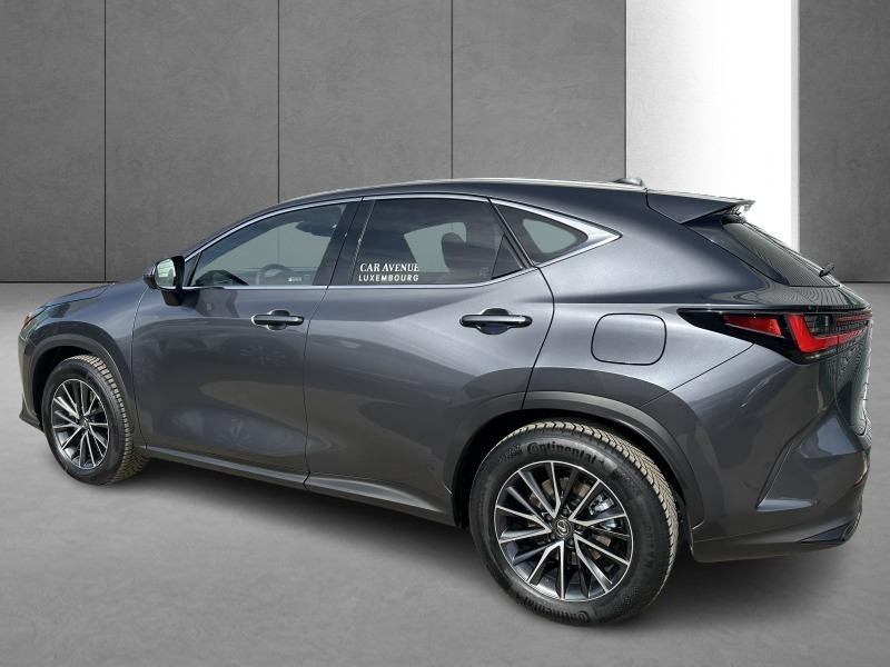 Used LEXUS NX 350h Hybrid Executive Line 2024 GREY € 53990 in Bertrange