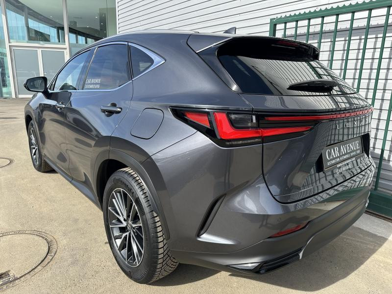 Used LEXUS NX 350h Hybrid Executive Line 2024 GREY € 53990 in Bertrange