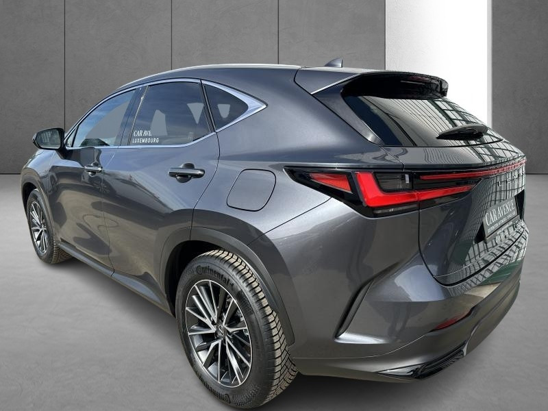 Used LEXUS NX 350h Hybrid Executive Line 2024 GREY € 53990 in Bertrange