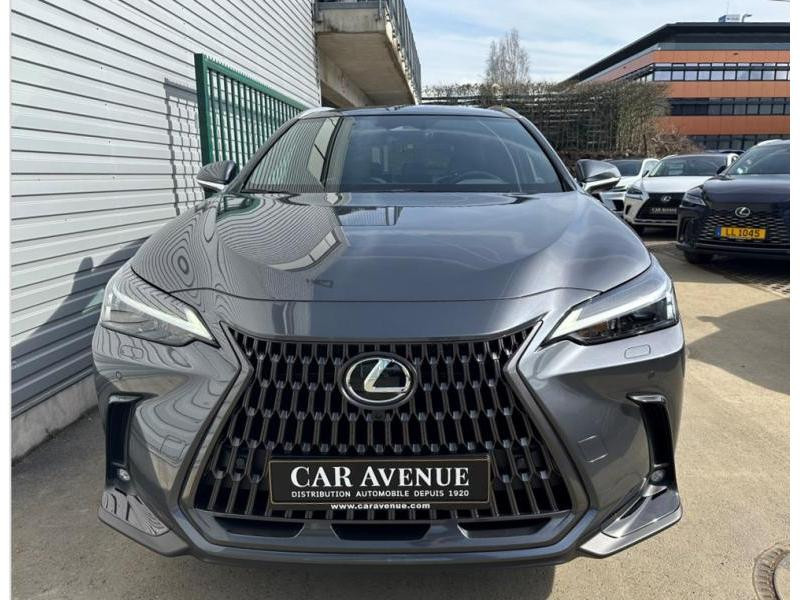 Used LEXUS NX 350h Hybrid Executive Line 2024 GREY € 53990 in Bertrange