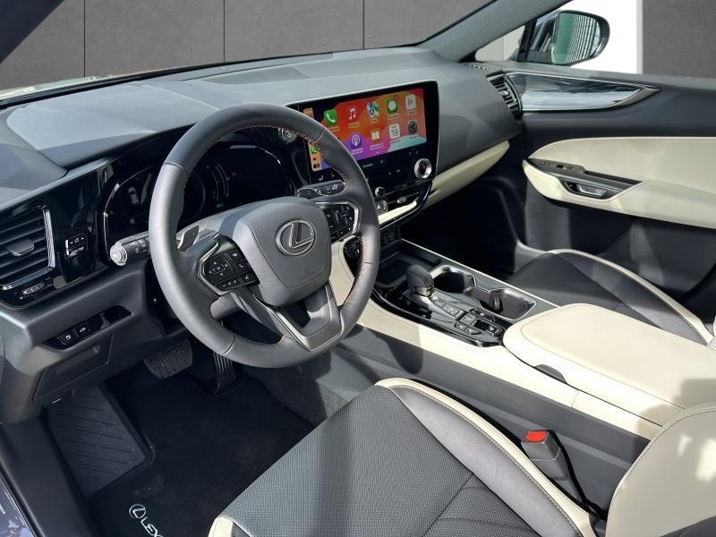 Used LEXUS NX 350h Hybrid Executive Line 2024 GREY € 53990 in Bertrange