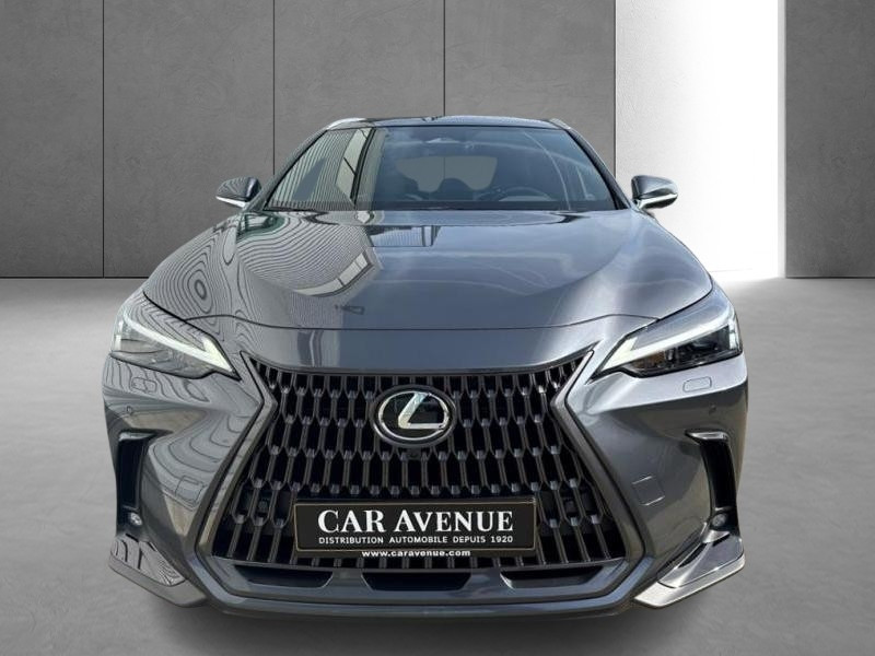 Used LEXUS NX 350h Hybrid Executive Line 2024 GREY € 53990 in Bertrange