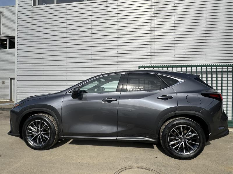 Used LEXUS NX 350h Hybrid Executive Line 2024 GREY € 53990 in Bertrange