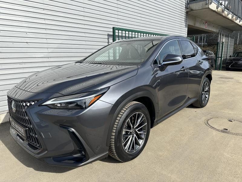 Used LEXUS NX 350h Hybrid Executive Line 2024 GREY € 53990 in Bertrange