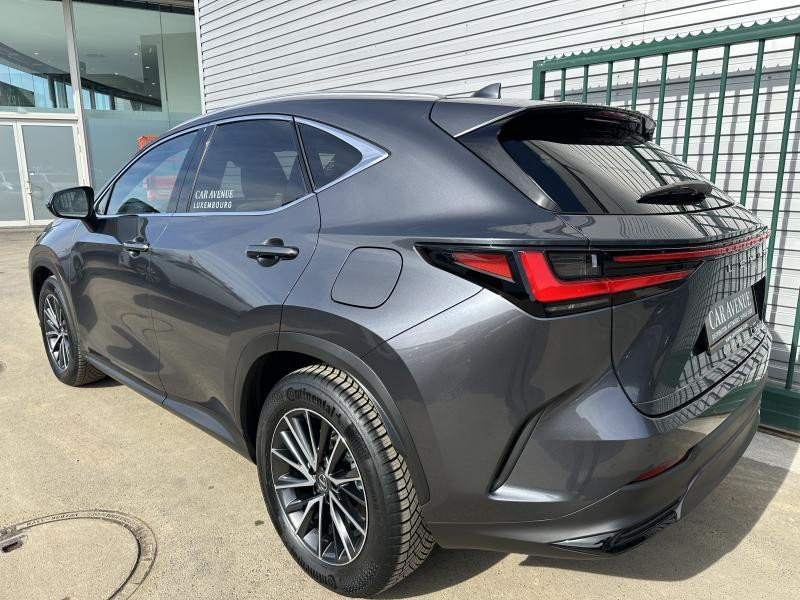 Used LEXUS NX 350h Hybrid Executive Line 2024 GREY € 53990 in Bertrange