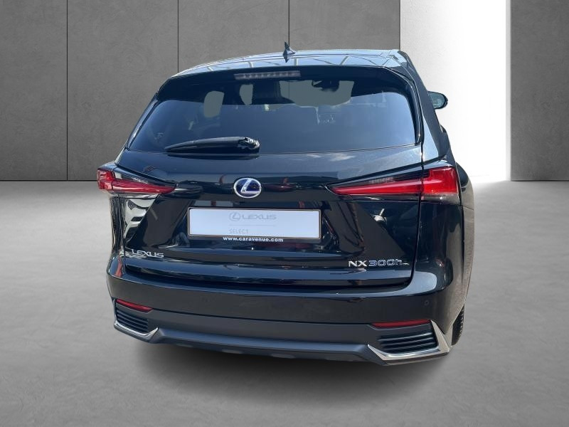 Used LEXUS NX Hybrid Privilege Line 2020 BLACK € 41900 in Bertrange