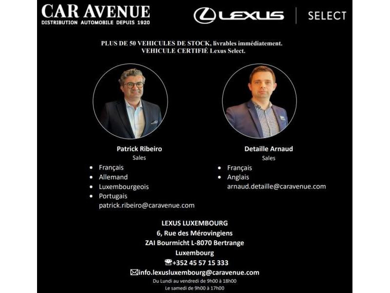 Occasion LEXUS UX 2.0L HEV E-CVT 2WD Executive Line 2020 GREY 30900 € à Bertrange