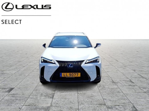 Occasion LEXUS UX 2.0L HEV F SPORT Design 2023 WHITE 38 490 € à Bertrange