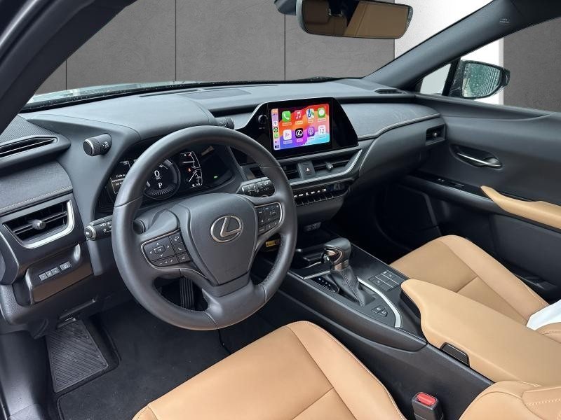 Used LEXUS UX 2.0L HEV F SPORT Design 2023 BLACK € 34990 in Bertrange