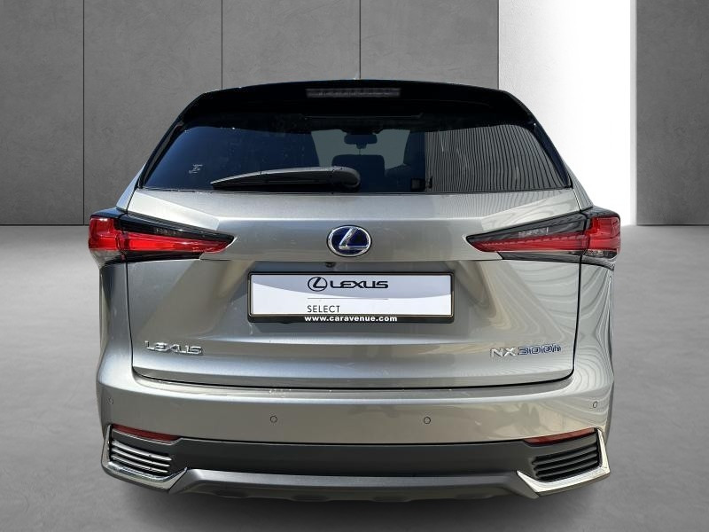 Used LEXUS NX 2.5 Hybrid 155 cv Privilege Line 2018 SILVER € 32490 in Bertrange