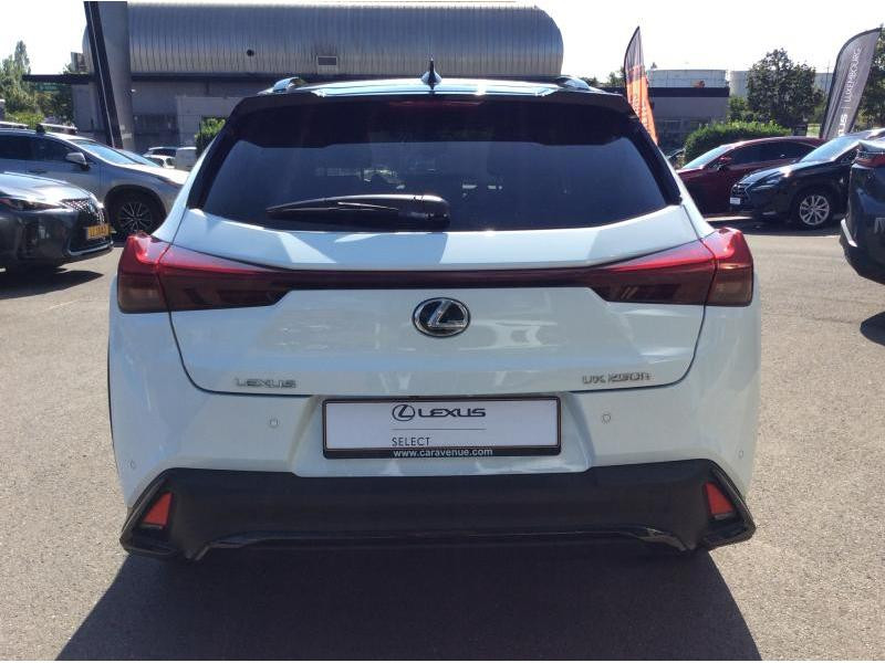 Occasion LEXUS UX 2.0L HEV F SPORT Design 2023 WHITE 36490 € à Bertrange