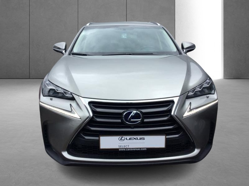 Occasion LEXUS NX 2.5 HEV PRIVILEGE 2017 BRONZE 28990 € à Bertrange