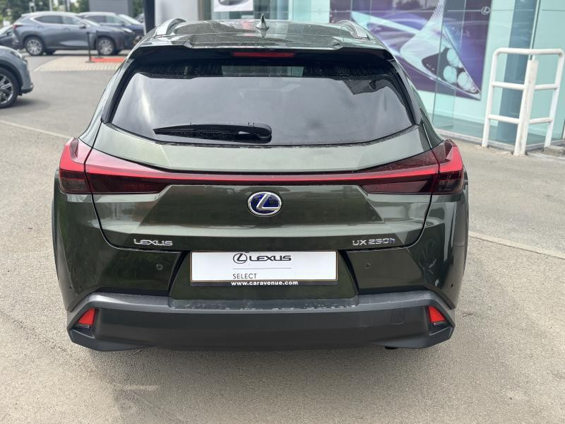 Occasion LEXUS UX Executive Line 2021 GREEN 26990 € à Bertrange